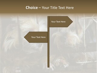 One Loneliness Behind PowerPoint Template