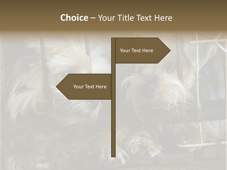 One Loneliness Behind PowerPoint Template
