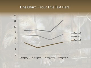 One Loneliness Behind PowerPoint Template