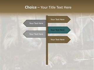 One Loneliness Behind PowerPoint Template
