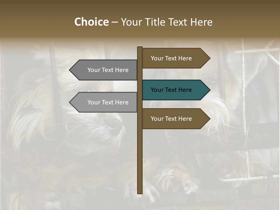 One Loneliness Behind PowerPoint Template