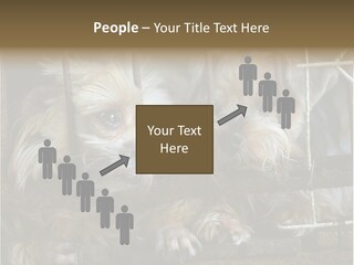One Loneliness Behind PowerPoint Template