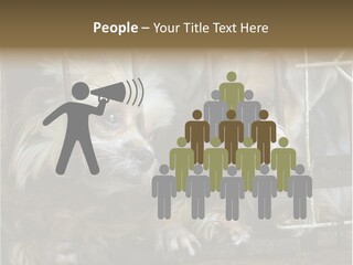 One Loneliness Behind PowerPoint Template