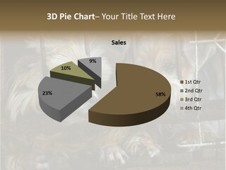 One Loneliness Behind PowerPoint Template
