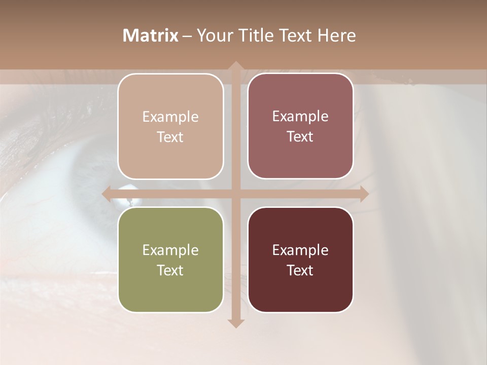 Beauty Person Color PowerPoint Template