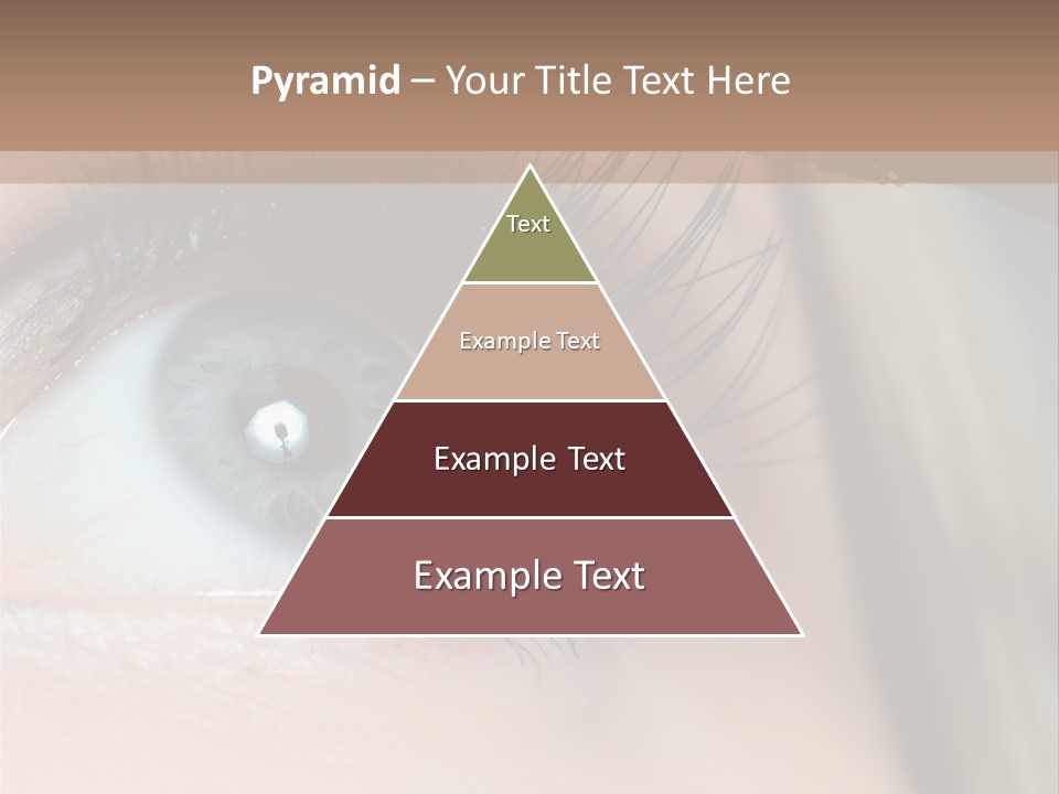 Beauty Person Color PowerPoint Template