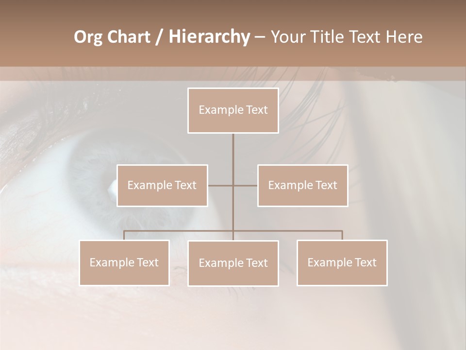 Beauty Person Color PowerPoint Template