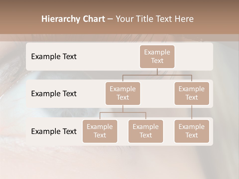 Beauty Person Color PowerPoint Template