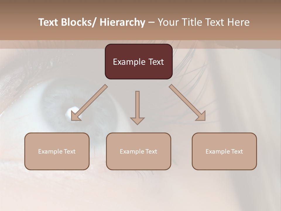 Beauty Person Color PowerPoint Template