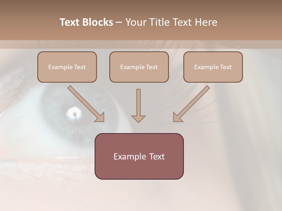 Beauty Person Color PowerPoint Template