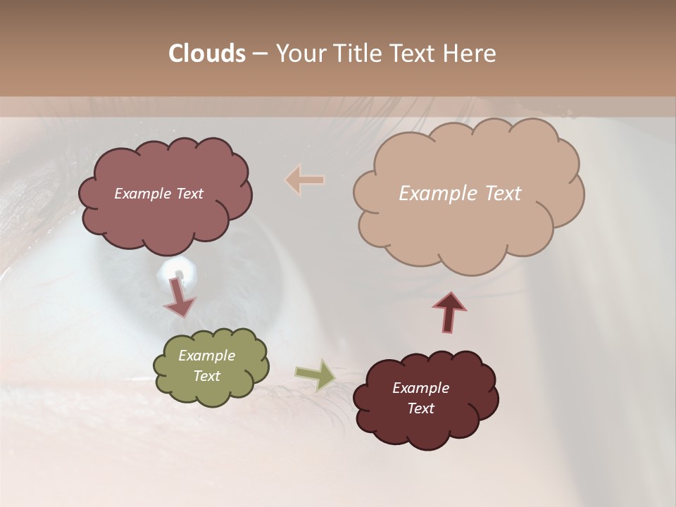 Beauty Person Color PowerPoint Template