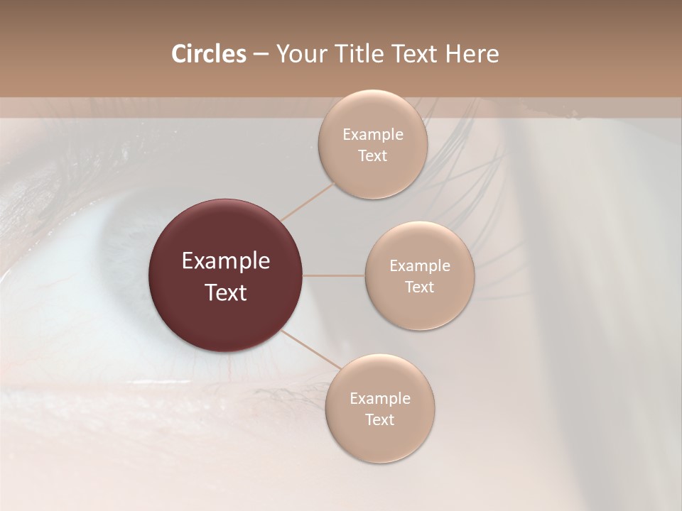 Beauty Person Color PowerPoint Template