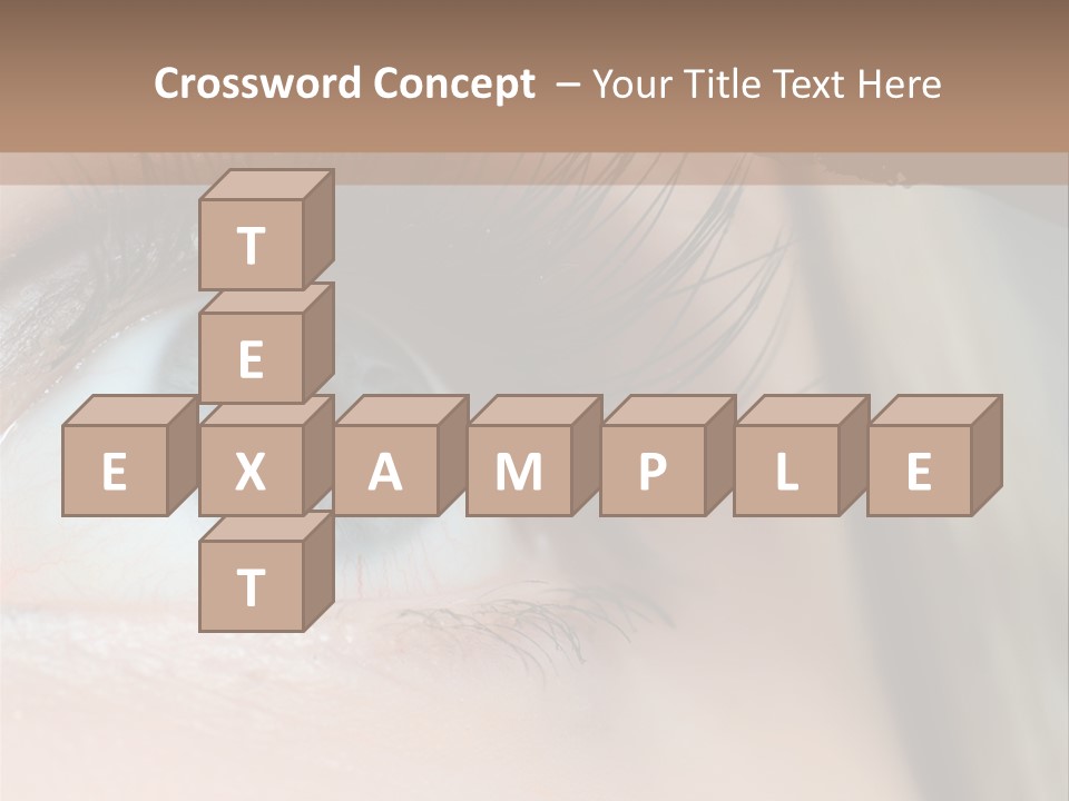 Beauty Person Color PowerPoint Template