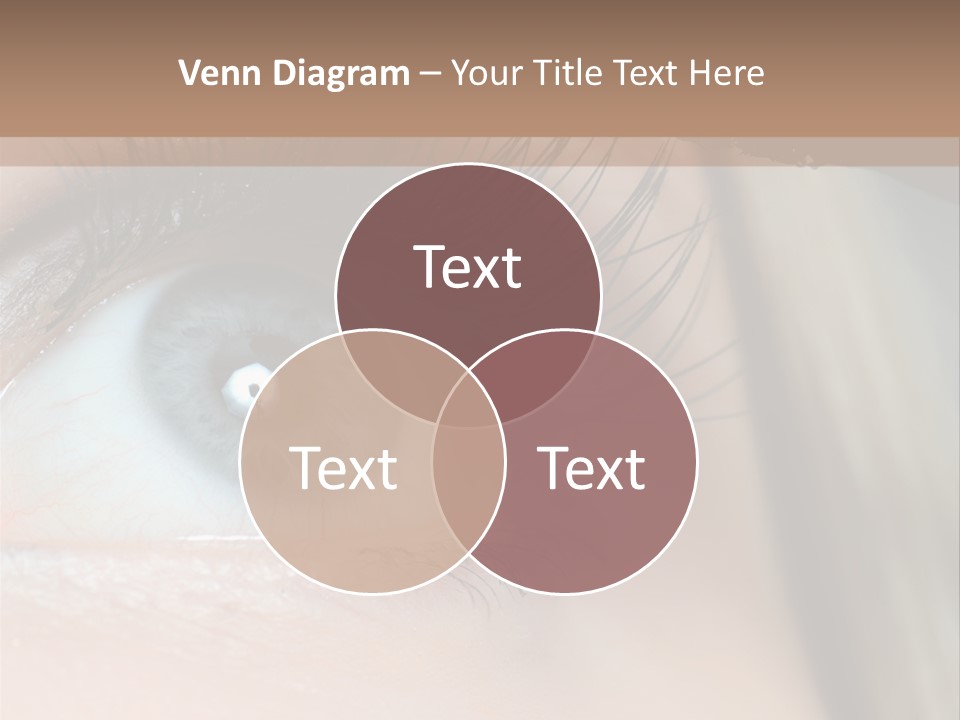 Beauty Person Color PowerPoint Template