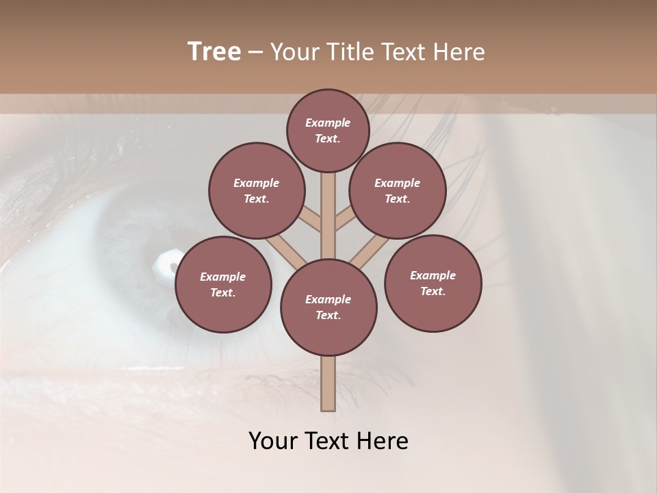 Beauty Person Color PowerPoint Template