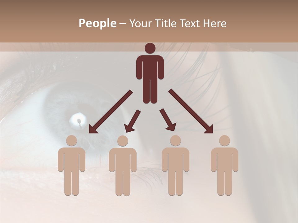 Beauty Person Color PowerPoint Template