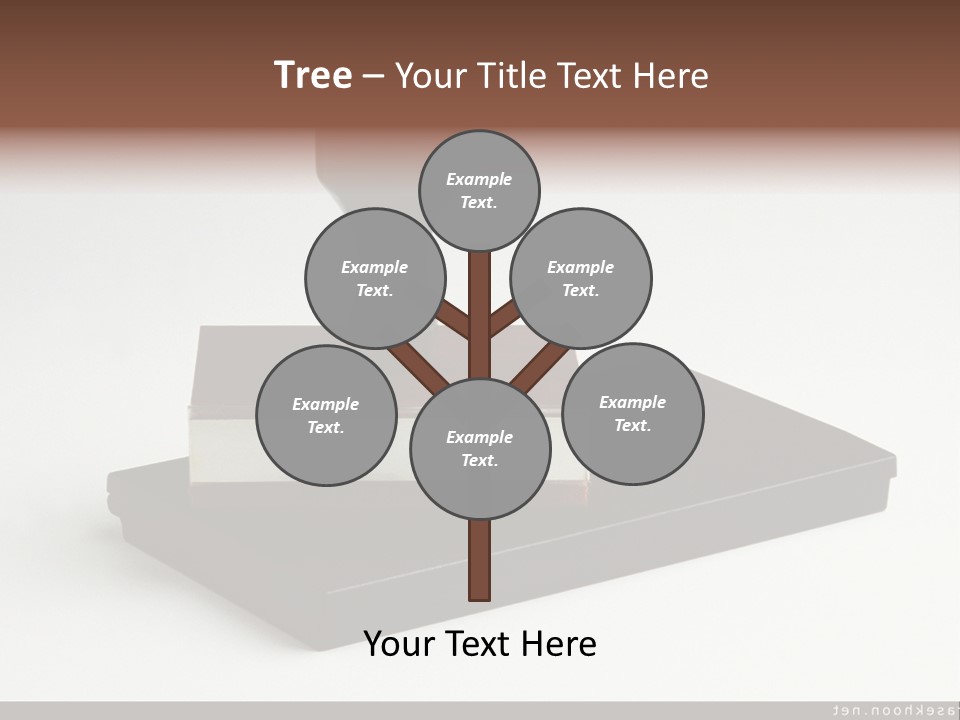 Explain Young Park PowerPoint Template