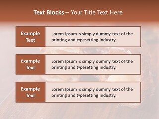 Doughnut Wooden Half PowerPoint Template