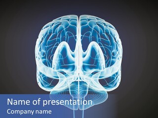 Cell Synapse Concentration PowerPoint Template