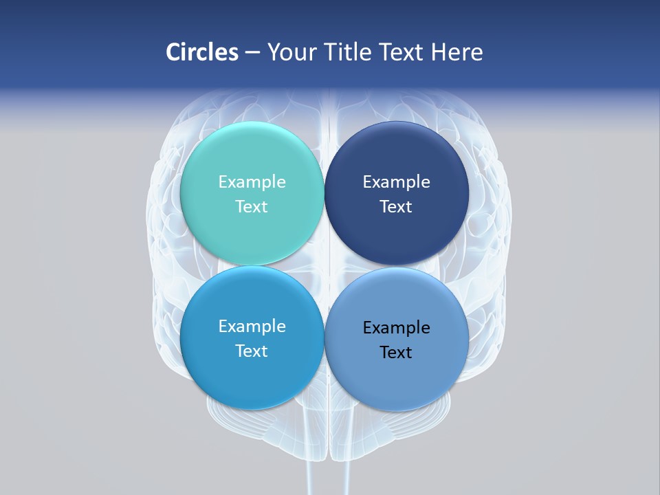 Cell Synapse Concentration PowerPoint Template