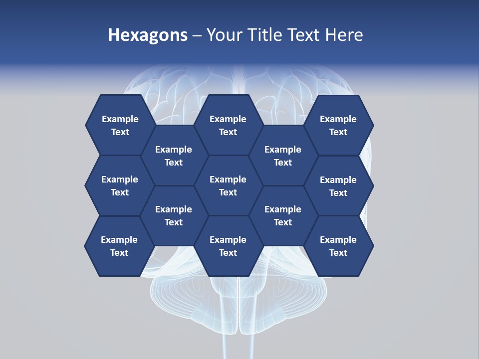 Cell Synapse Concentration PowerPoint Template