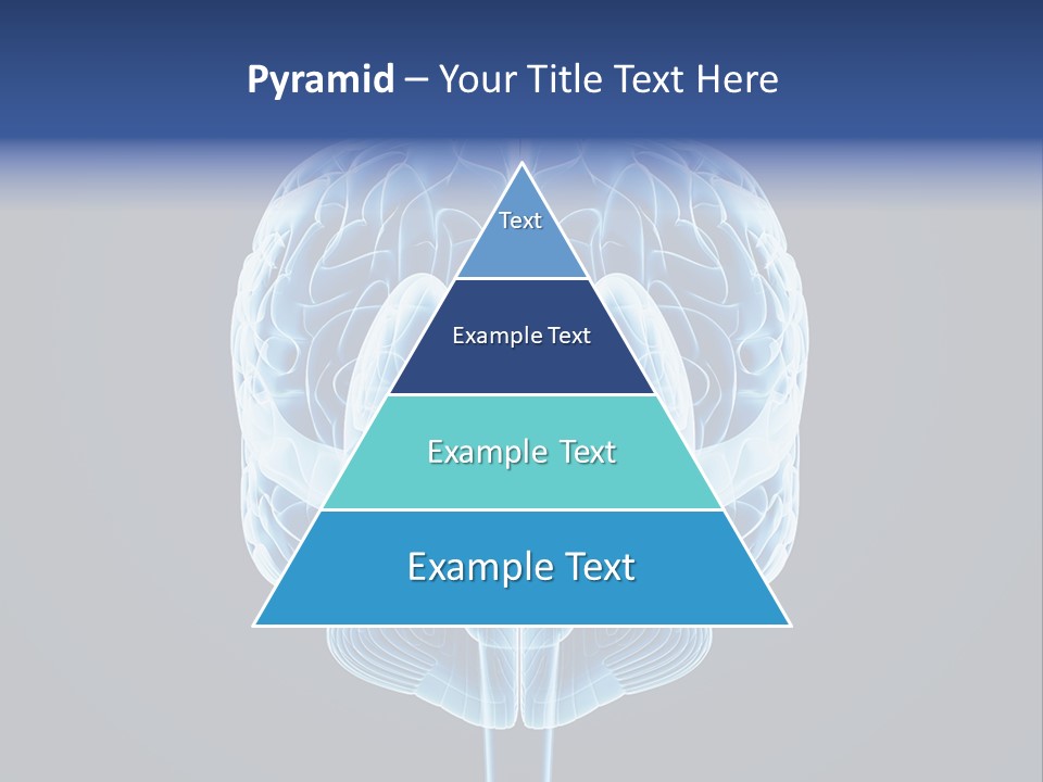 Cell Synapse Concentration PowerPoint Template