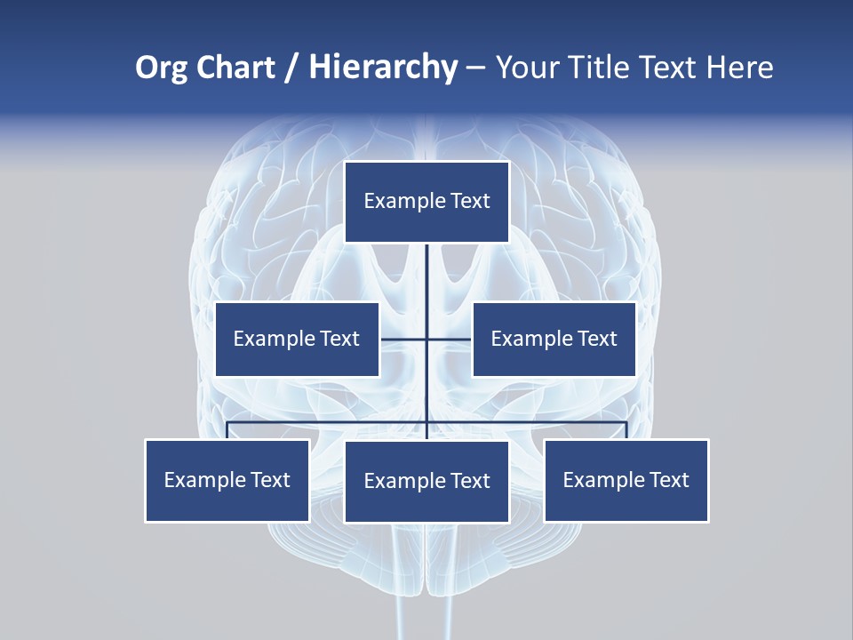 Cell Synapse Concentration PowerPoint Template