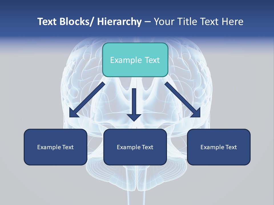 Cell Synapse Concentration PowerPoint Template