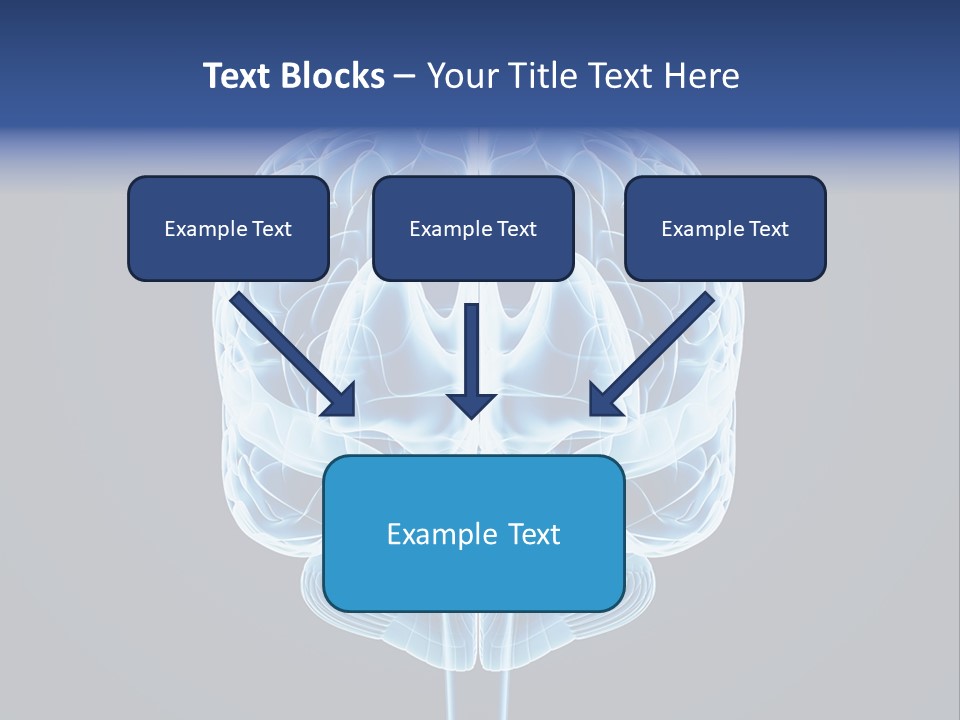 Cell Synapse Concentration PowerPoint Template
