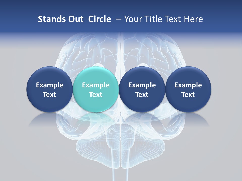 Cell Synapse Concentration PowerPoint Template
