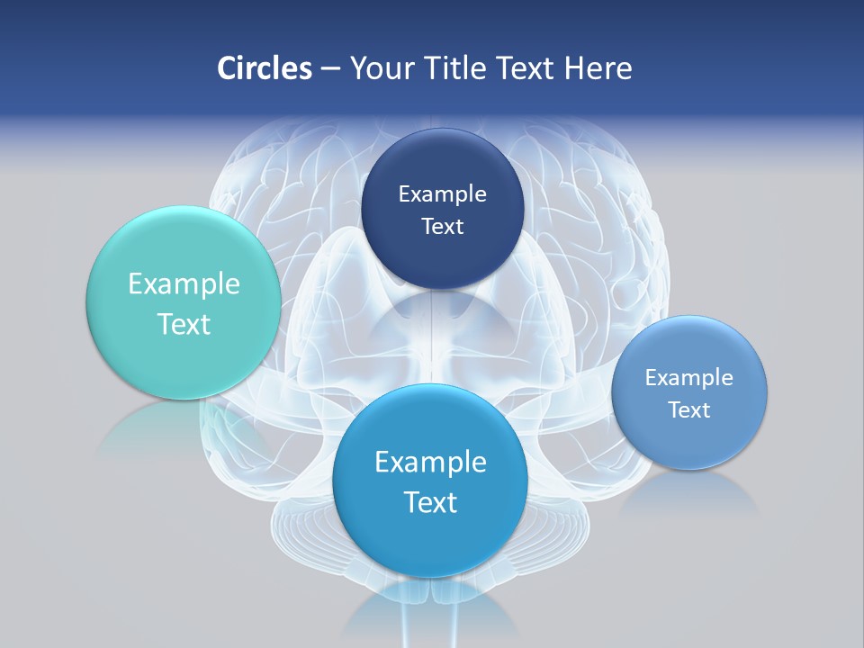 Cell Synapse Concentration PowerPoint Template