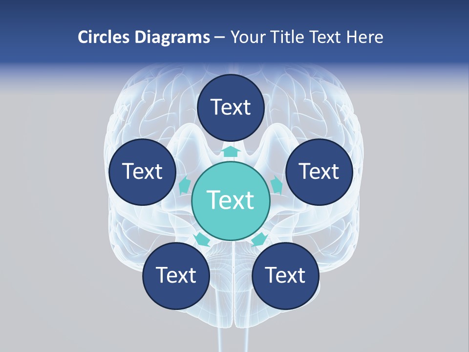 Cell Synapse Concentration PowerPoint Template
