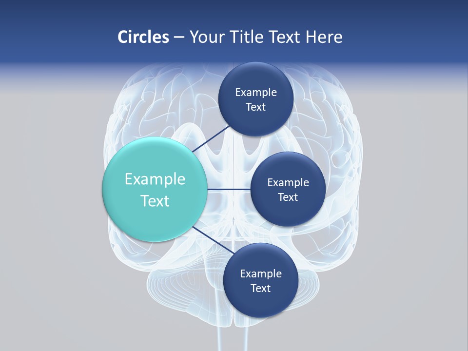 Cell Synapse Concentration PowerPoint Template