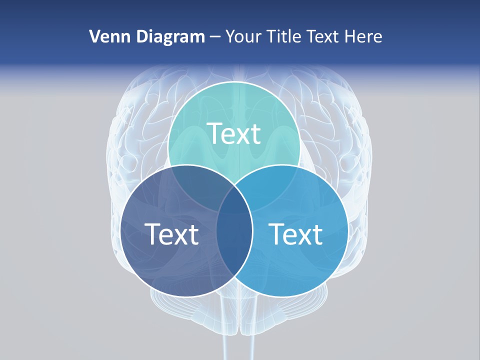 Cell Synapse Concentration PowerPoint Template