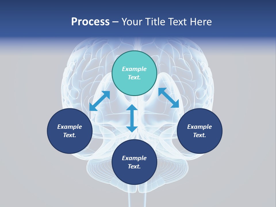 Cell Synapse Concentration PowerPoint Template