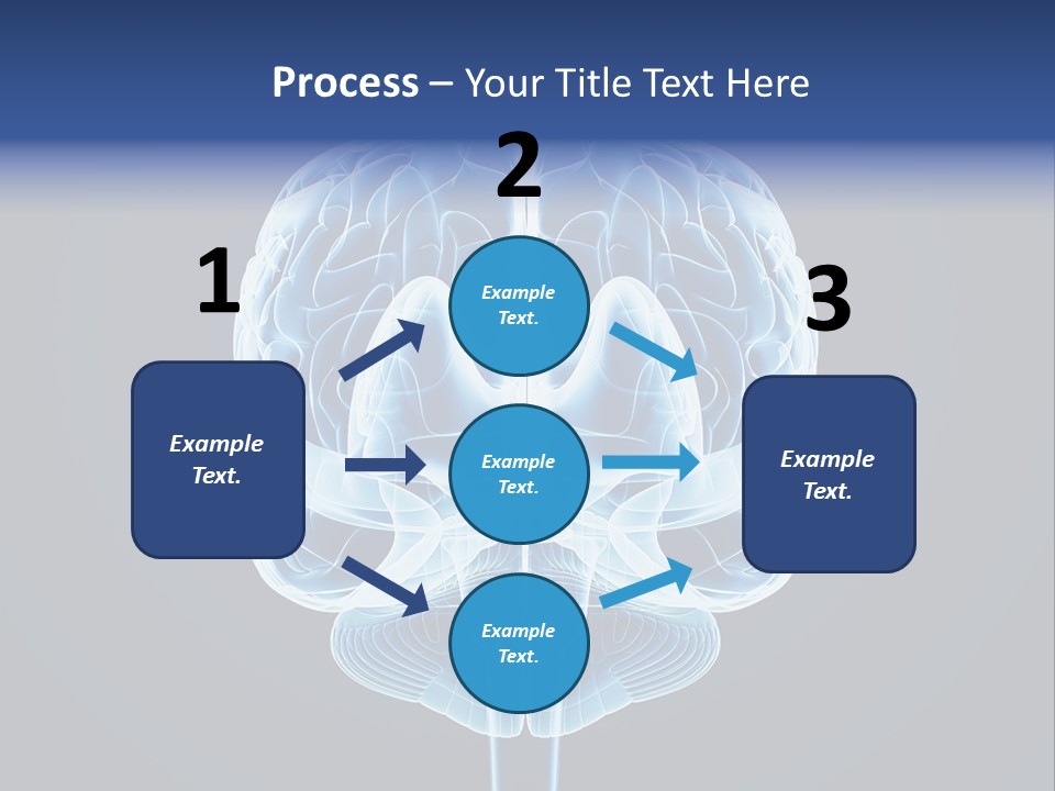 Cell Synapse Concentration PowerPoint Template