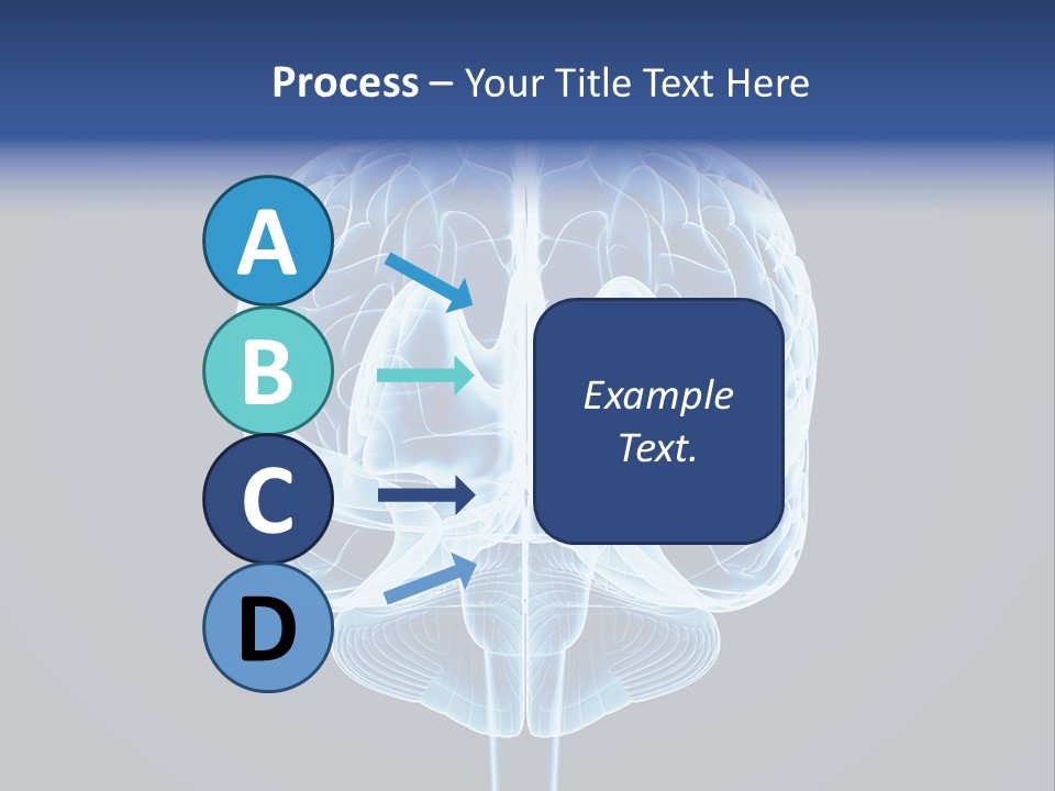 Cell Synapse Concentration PowerPoint Template