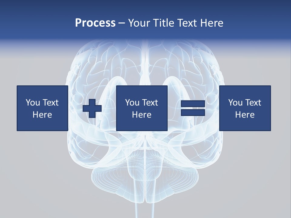 Cell Synapse Concentration PowerPoint Template