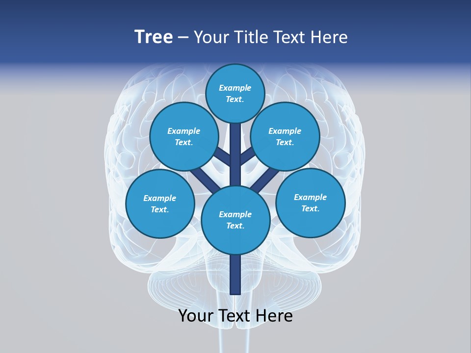 Cell Synapse Concentration PowerPoint Template