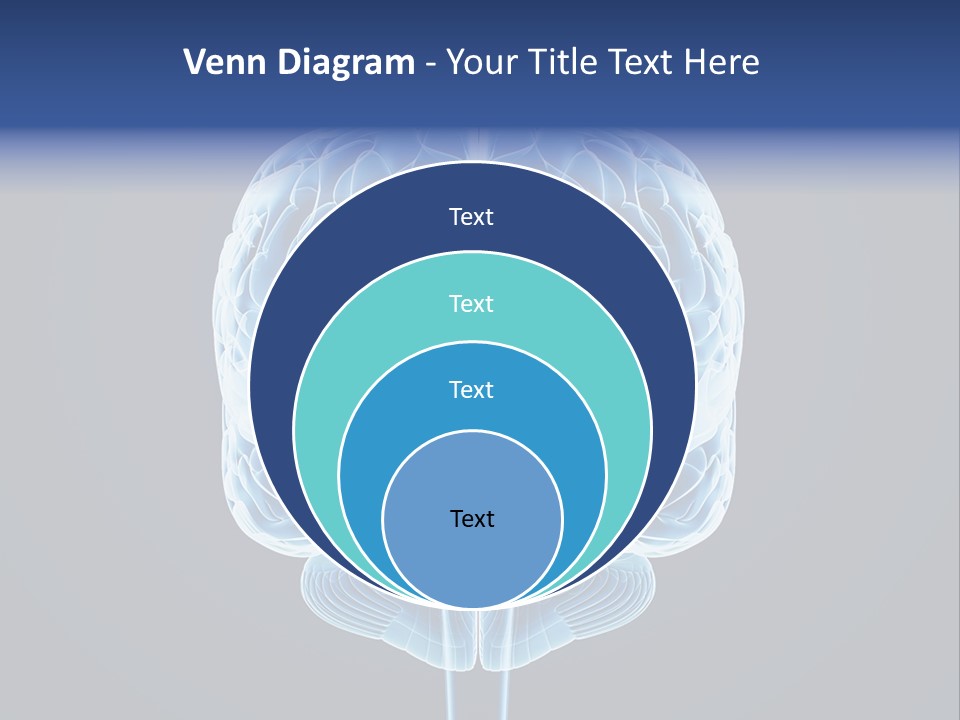 Cell Synapse Concentration PowerPoint Template