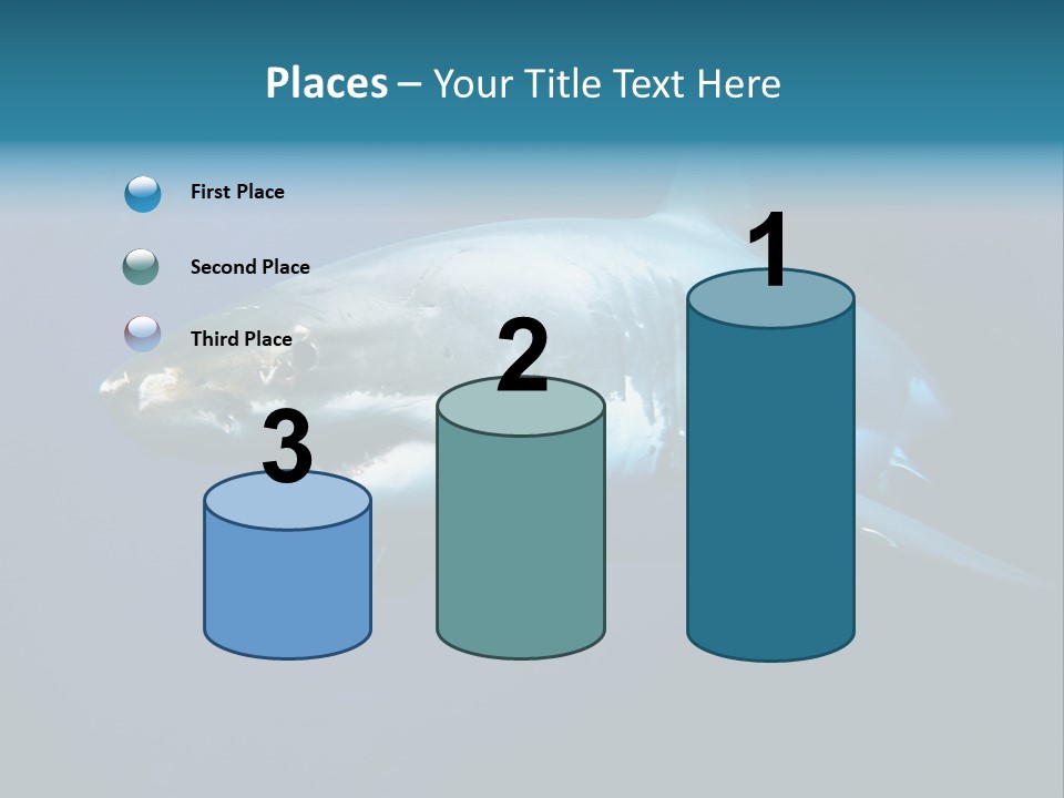 Carcharodon Carcharias Dangerous Aggressiveness PowerPoint Template