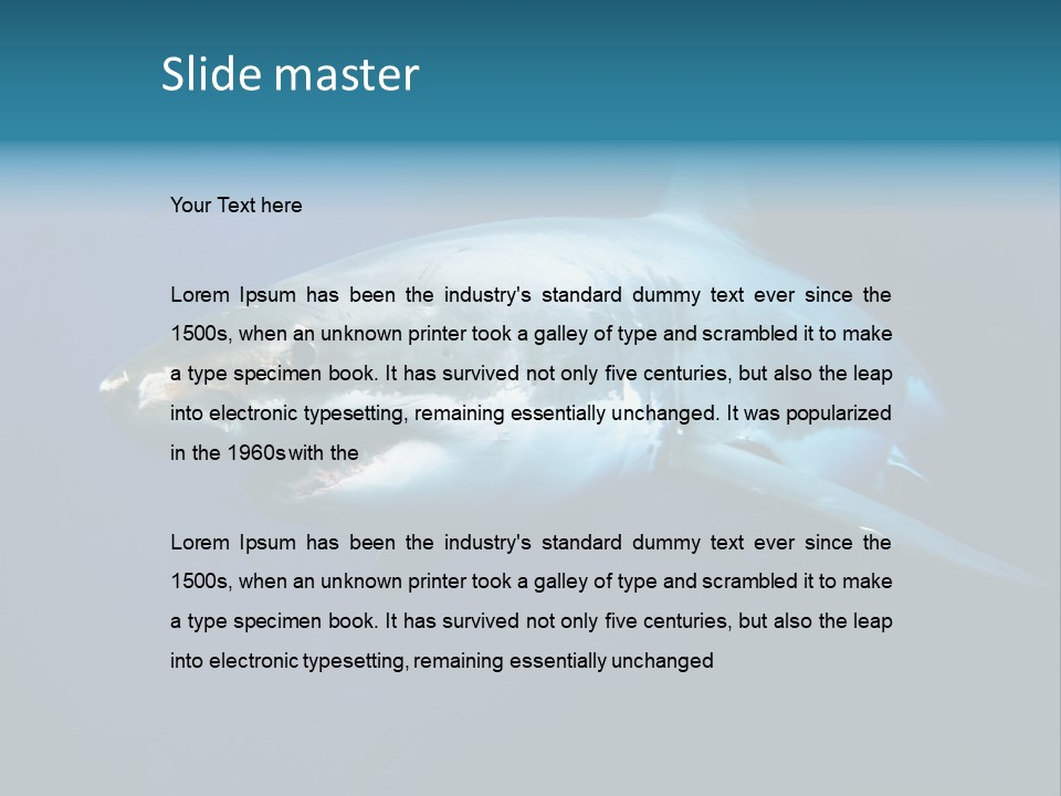 Carcharodon Carcharias Dangerous Aggressiveness PowerPoint Template