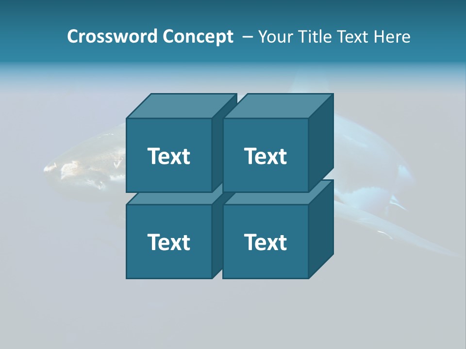 Carcharodon Carcharias Dangerous Aggressiveness PowerPoint Template