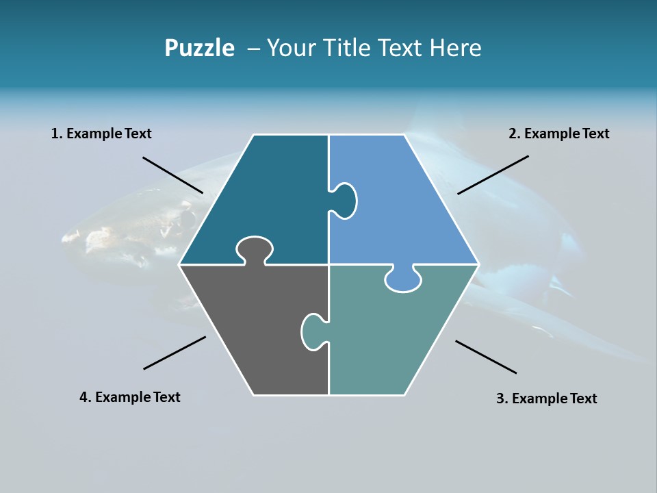 Carcharodon Carcharias Dangerous Aggressiveness PowerPoint Template