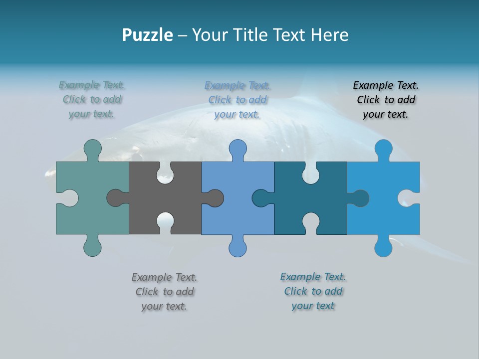 Carcharodon Carcharias Dangerous Aggressiveness PowerPoint Template