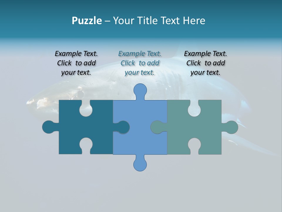 Carcharodon Carcharias Dangerous Aggressiveness PowerPoint Template