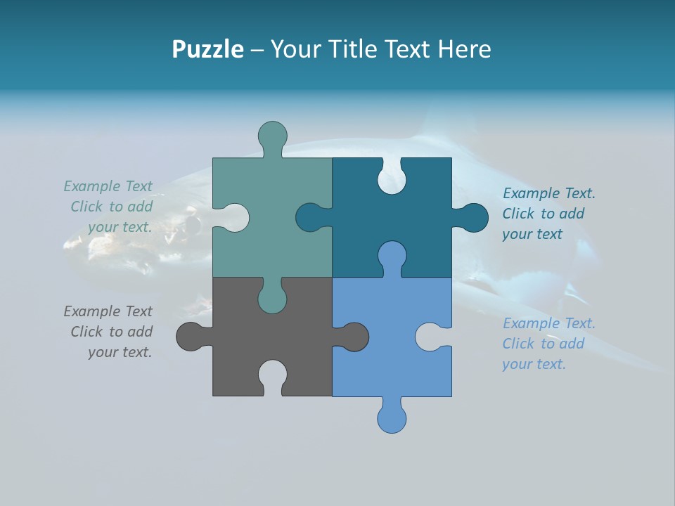 Carcharodon Carcharias Dangerous Aggressiveness PowerPoint Template