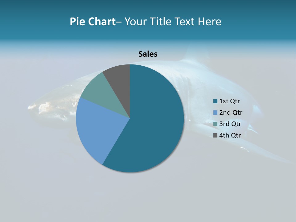 Carcharodon Carcharias Dangerous Aggressiveness PowerPoint Template