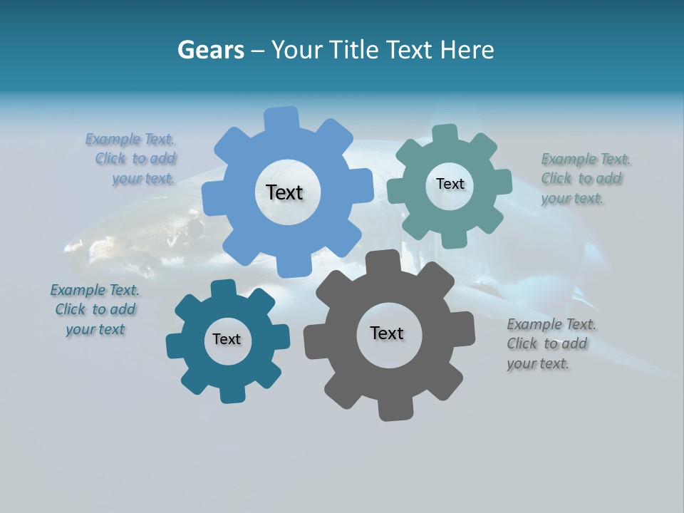 Carcharodon Carcharias Dangerous Aggressiveness PowerPoint Template