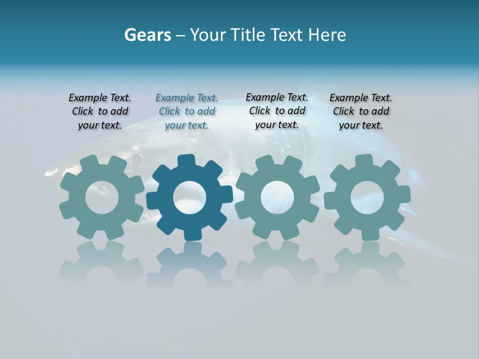 Carcharodon Carcharias Dangerous Aggressiveness PowerPoint Template